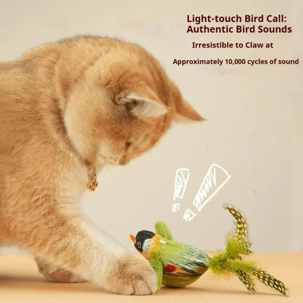 sccafbef04b2b49dbab29e7d87dd5f4803.webp sccafbef04b2b49dbab29e7d87dd5f4803.webp