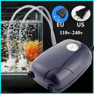 sac8de686d190408fb7c304422dd58693r.webp